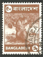 AL-73 Bangladesh Arbre Jacquier Jackfruit Tree Fruit Agriculture - Ernährung