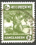 AL-71 Bangladesh Arbre Jacquier Jackfruit Tree Fruit Agriculture - Alimentación