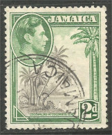 AL-45 Jamaica George V Coco Palms Palmiers Cocotiers  - Levensmiddelen