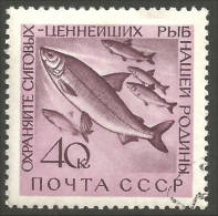 AL-25 Russia Poisson Saumon Salmon Fische Fish Piscis Pesci Vis - Levensmiddelen