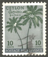 AL-21 Ceylon Cocotier Coconut Noce Di Cocco Kokosnuss Kokosnoot Coco - Alberi