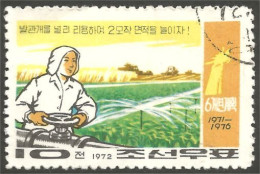 AL-20 Corée Irrigation Riz Rice Rijst Reis Arroz Rizo - Alimentation