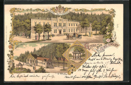Lithographie Bad Königswart, Hotel Metternich, Badehaus, Richard Quelle  - Czech Republic