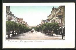 AK Franzensbad, Von Bäumen Gesäumte Kaiserstrasse  - Tchéquie