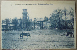 CPA 1920 MONTROND-LES-BAINS Le Château De Sourcieux, Chevaux - Feurs,Montbrison Animée TBE - Feurs