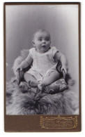 Fotografie Otto Martin, Dresden-Löbtau, Reisewitzerstr. 18, Portrait Süsses Baby Im Weissen Hemdchen Auf Fell Sitzend  - Anonyme Personen