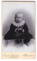 Fotografie Ernst Schroeter, Meissen, Obergasse 597, Portrait Hübsches Kleinkind Mit Spielzeugpferdchen In Den Händen  - Personnes Anonymes