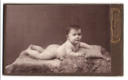 Fotografie Otto Martin, Dresden-Löbtau, Reisewitzerstr. 18, Portrait Baby Liegt Auf Einem Fell  - Personnes Anonymes