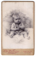 Fotografie Edg. Wallnau, Berlin, Müllerstr. 174, Portrait Baby Mit Perlenhalskette Auf Einem Fell Sitzend  - Anonymous Persons