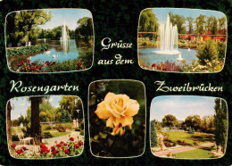 73906042 Zweibruecken Pfalz Rosengarten Teilansichten - Zweibruecken
