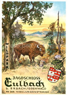 73867046 Erbach Odenwald Jagdschloss Eulbach Wildpark Kuenstlerkarte Erbach Oden - Erbach