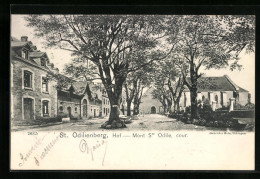 CPA St. Odilienberg, Hof Mont Ste Odile, Cour  - Sainte Odile