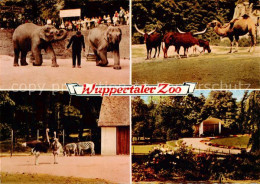73832910 Wuppertal Zoo Elefanten Zebras Strausse Kamel Longhornrinder Wuppertal - Wuppertal