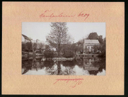 Fotografie Brück & Sohn Meissen, Ansicht Taubenheim (Klipphausen), Blick über Den Teich Auf Den Ort  - Places