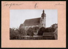 Fotografie Brück & Sohn Meissen, Ansicht Torgau, Stadtkirche  - Orte