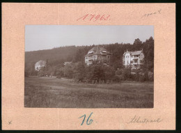 Fotografie Brück & Sohn Meissen, Ansicht Bad Elster, Villa Hubertus Am Albertpark  - Places