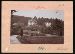 Fotografie Brück & Sohn Meissen, Ansicht Bad Elster, Albertpark Mit Villa Hubertus  - Places