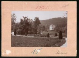 Fotografie Brück & Sohn Meissen, Ansicht Bad Elster, Partie Im Albertpark Mit Villa  - Orte