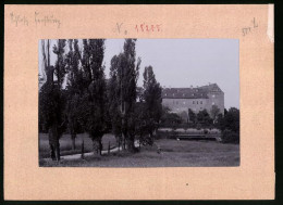 Fotografie Brück & Sohn Meissen, Ansicht Frohburg I. Sa., Allee Mit Blick Zum Schloss  - Orte