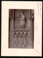 Fotografie Brück & Sohn Meissen, Ansicht Meissen I. Sa., Maria Statue In Der Vorhalle Des Doms  - Orte