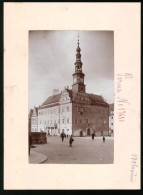 Fotografie Brück & Sohn Meissen, Ansicht Pirna A. Elbe, Marktplatz Mit Dem Rathaus, Strassenfeger  - Orte