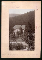 Fotografie Brück & Sohn Meissen, Ansicht Bärenburg I. Sa., Blick Auf Das Haus Waldeck, Rückseite Mit Ansichtskarte  - Orte
