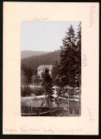 Fotografie Brück & Sohn Meissen, Ansicht Bärenburg I. Sa., Partie Im Wald Mit Blick Auf Das Haus Waldeck  - Orte
