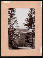 Fotografie Brück & Sohn Meissen, Ansicht Oberbärenburg, Blick Von Der Waldidyll Auf Den Ort  - Places