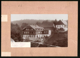 Fotografie Brück & Sohn Meissen, Ansicht Kipsdorf I. Erzg., Blick Auf Das Hotel Schweizerhof Mit Cafe  - Places