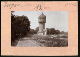 Fotografie Brück & Sohn Meissen, Ansicht Torgau A. Elbe, Blick Auf Den Wasserturm, Rückseite Mit Ansichtskarte  - Places