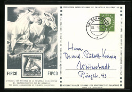 AK Ausstellung Der FIPCO, Zwei Schimmel Im Galopp  - Postzegels (afbeeldingen)