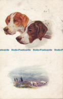 R057804 Old Postcard. Sporting Dogs. Tuck. Oilette. No 8669. 1920 - Monde