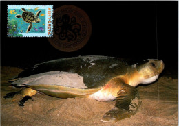 20-5-2024 (5 Z 39) Australia (6 Maxicard) Fish - Shark - Turtle Etc (if Not Sold Will NOT Be Re-listed) - Maximumkaarten