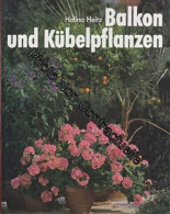 Balkon Und Kübelpflanzen - Other & Unclassified