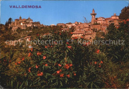 72521481 Valldemosa Panorama Valldemosa - Other & Unclassified