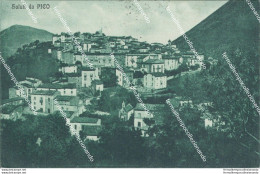 Bg39 Cartolina Saluti Da Pico Provincia Di Frosinone - Frosinone