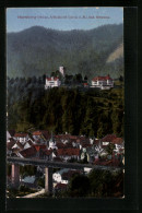 AK Hornberg /Schwarzw., Ortsansicht Mit Schlosshotel  - Hornberg