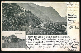 AK Vaduz, Gasthaus Zum Löwen, Weinberg Mit Landschaftspanorama  - Liechtenstein