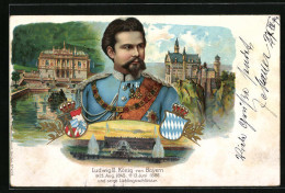 Lithographie König Ludwig II. Von Bayern Mit Ansichten Seiner Lieblingsschlösser  - Royal Families