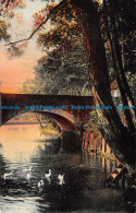 R059521 Landscape. Bridge. Swans. Painting. Post Card - Monde