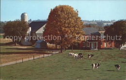 71941879 Ohio_US-State Amishland Typical Amish Farm - Andere & Zonder Classificatie