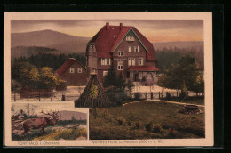 AK Torfhaus I. Harz, Wulfert`s Hotel U. Pension, Röhrender Hirsch  - Autres & Non Classés