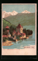 Künstler-AK Neuchatel, Schloss Pourtales Am Thuner See, Reklame Für Messmers Tee  - Altri & Non Classificati