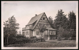 Fotografie Brück & Sohn Meissen, Ansicht Schellerhau / Erzg., Blick Auf Ein Einzelstehendes Haus Mit Gartenpartie  - Lugares