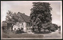 Fotografie Brück & Sohn Meissen, Ansicht Schellerhau / Erzg., Partie Am Meissner Schullandheim, Kinder Unterm Baum  - Orte