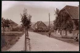 Fotografie Brück & Sohn Meissen, Ansicht Wilthen I. Sa., Strassenpartie Im Ort Mit Villenhäusern  - Places