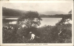 10985920 Dunoon Loch Loskin Lily Loch Dunoon - Other & Unclassified