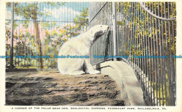 R058929 A Corner Of The Polar Bear Den. Zoological Gardens. Fairmount Park. Phil - Wereld