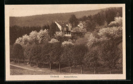 AK Einbeck, Gasthaus Zwischen Bäumen  - Einbeck