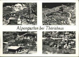 10958065 Thoerishaus Alpengarten Thoerishaus - Other & Unclassified